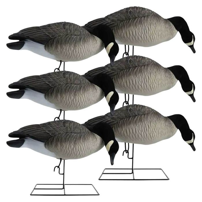 Чучело Hardcore Rugged Canada Goose Decoys - 6 Pack