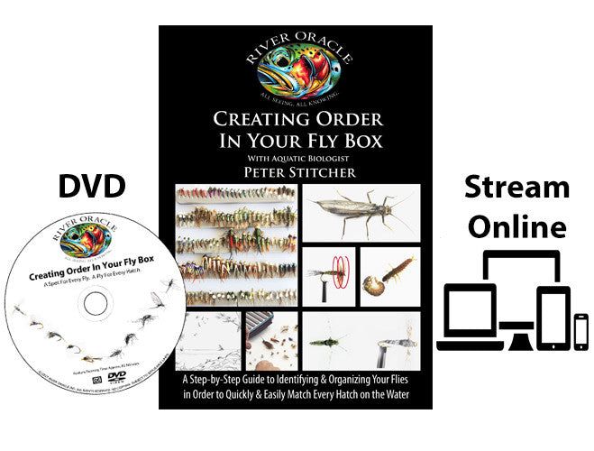 Коробка для мушек Ascent Fly Fishing Creating Order in Your Fly Box: Fly Box Organization