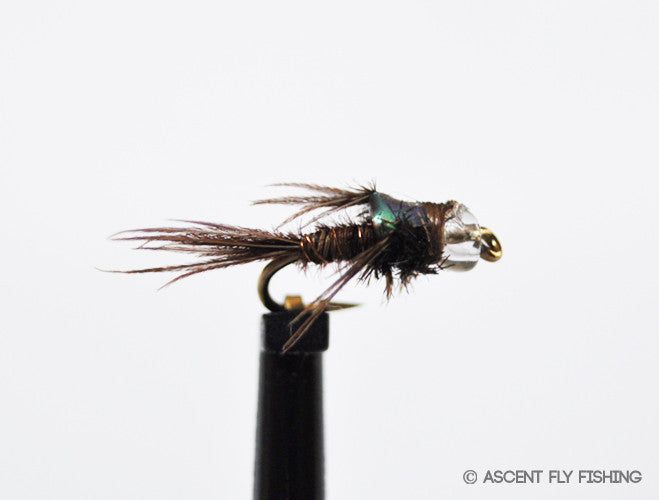 Мушки Ascent Fly Fishing Mercury Flashback Pheasant Tail