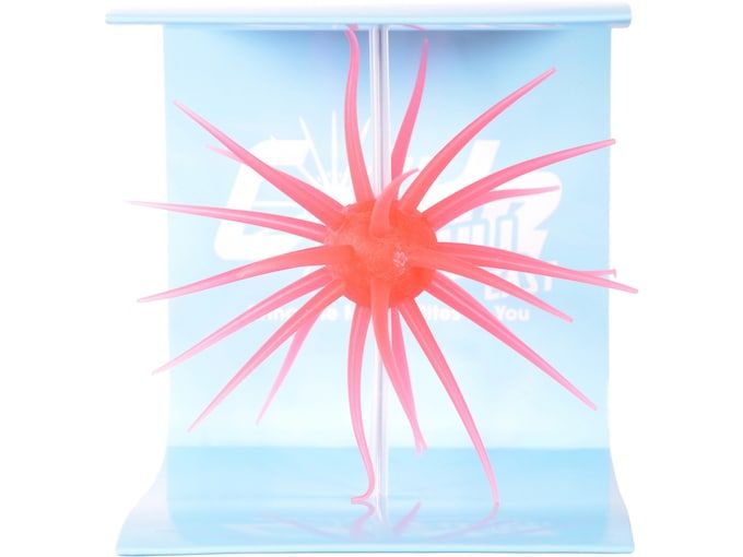 Hideup Coike Fullcast Urchin Merthiolate US