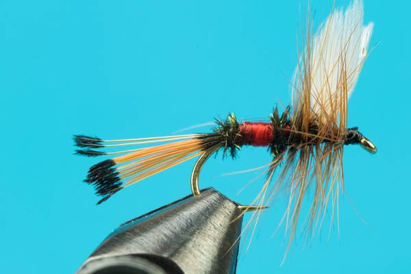 Мушки Big Y Fly Co. Royal Coachman Dry Fly