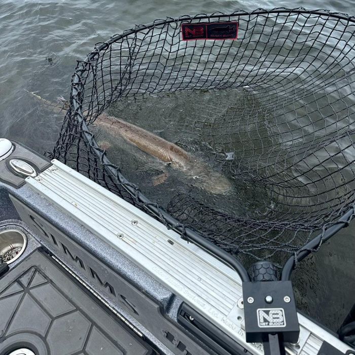 Подсачек Net Buddy Mega Musky Buddy Net - Single Puck Yoke / 40"x44" - 60" Handle