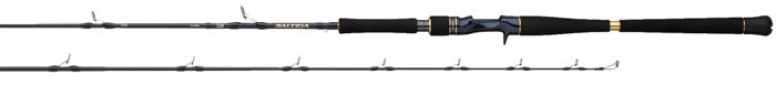 Спиннинг DAIWA Saltiga Jigging