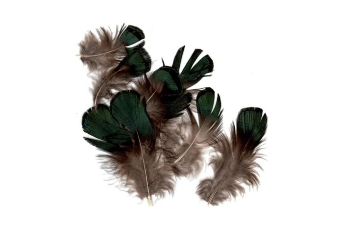 Материал для вязания мушек Hareline Iridescent Lady Amherst Plumage