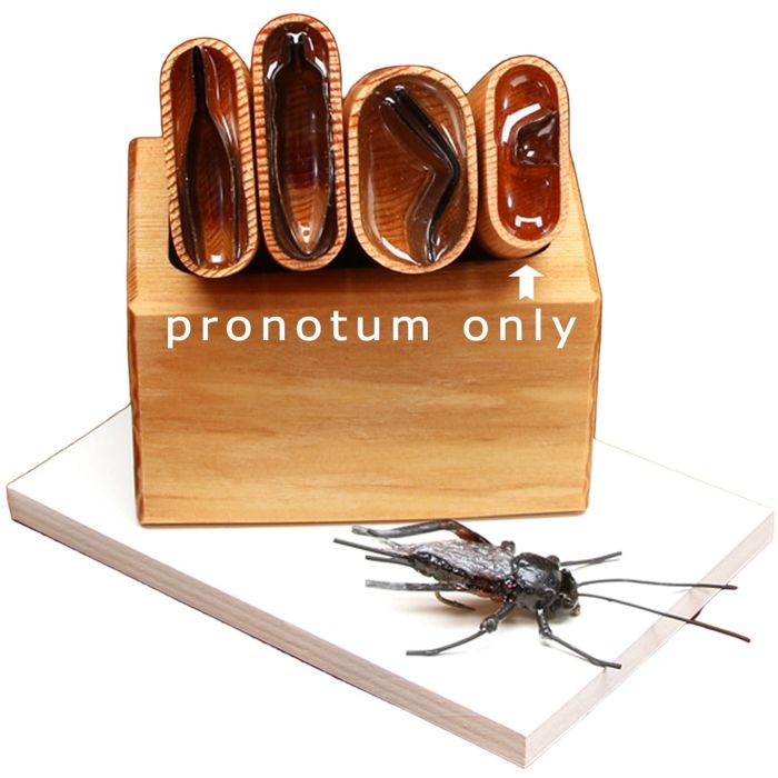 Инструмент для вязания мушек J. Stockard Fly Fishing Tomsu's Supreme Cricket Pronotum Cutt