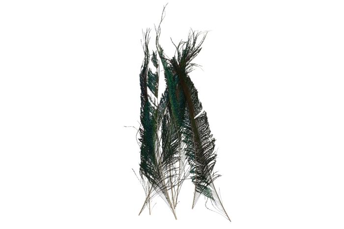 Материал для вязания мушек Hareline Peacock Sword Feathers