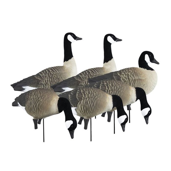 Чучело Higdon Outdoors Higdon Apex Full Size Canada Decoys-6 Pack
