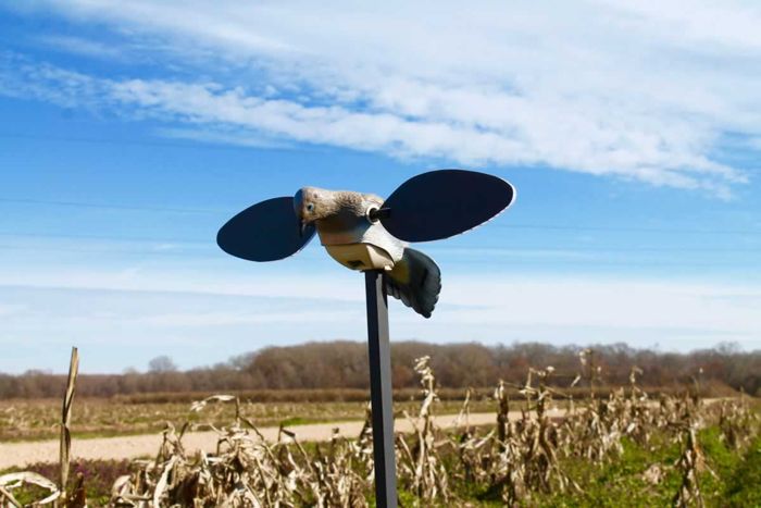 Чучело MOJO Elite Series Dove Decoy | Premium Motion Decoy