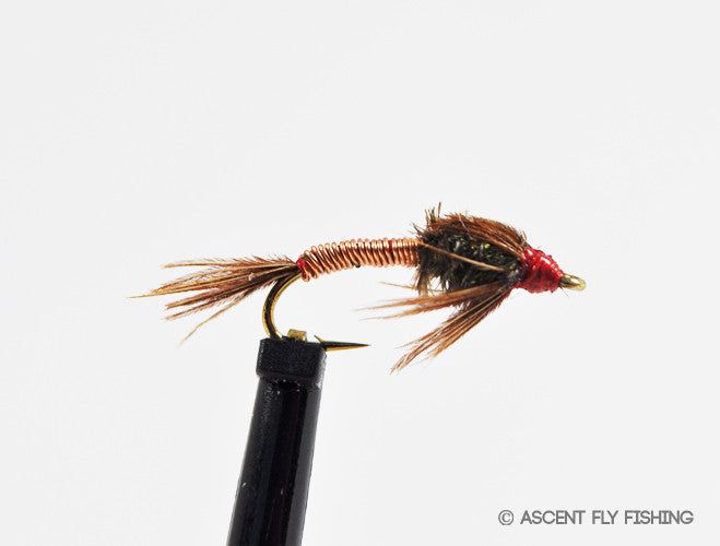 Мушки Ascent Fly Fishing Pheasant Tail Brassie