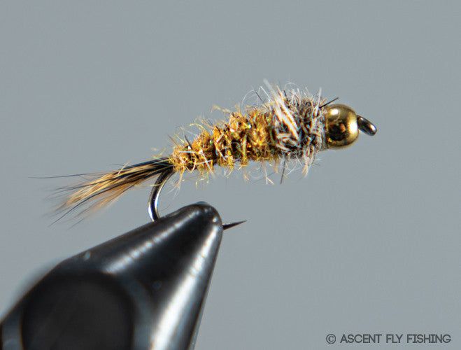 Мушки Ascent Fly Fishing Beadhead Red Squirrel Nymph