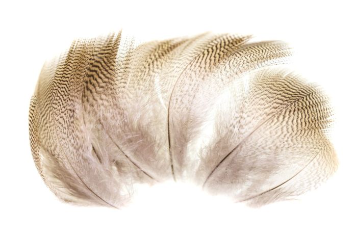 Материал для вязания мушек Wapsi Wood Duck Feathers