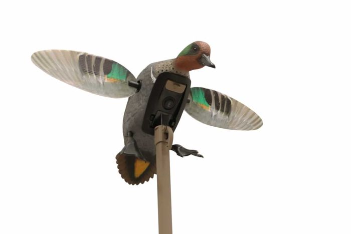 Чучело Mojo Elite Series Green Wing Teal Decoy - Remote Ready