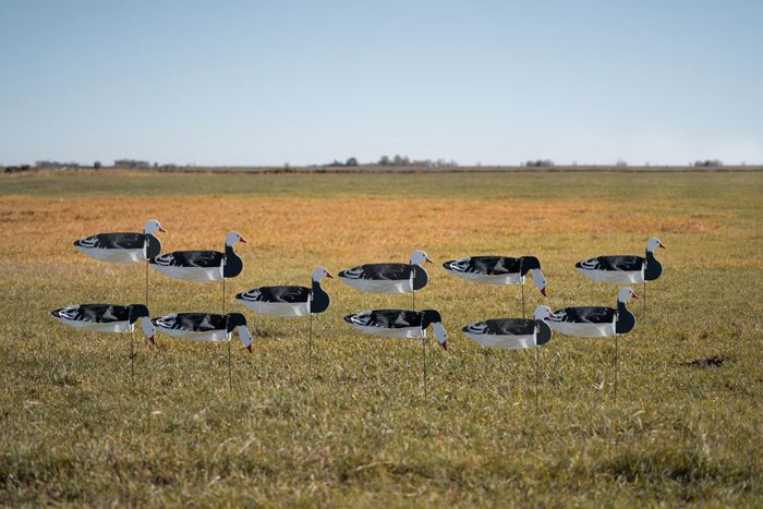 Чучело GHG Pro-Grade Blue Goose Sock Decoys