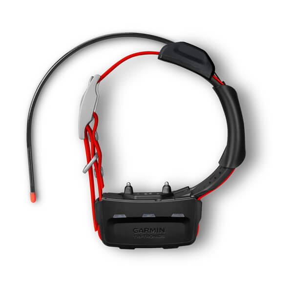 Снаряжение для собаки Garmin TT 15X Dog Collar