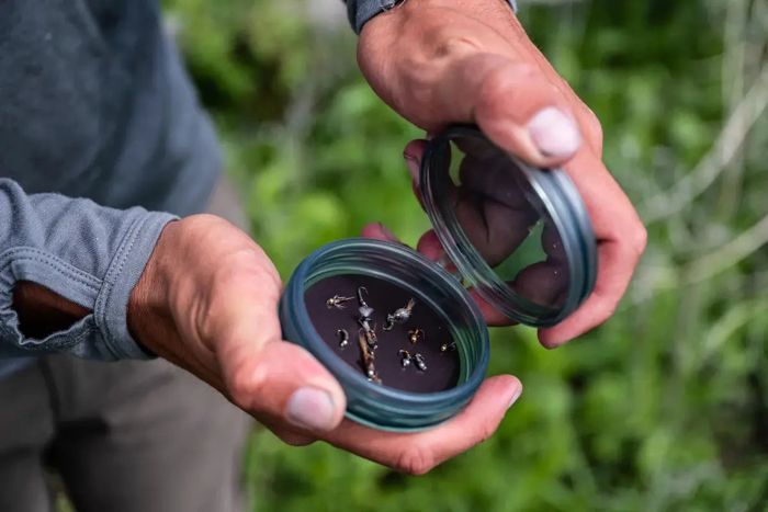 Мушки Fishpond Shallow MagPad Fly Puck