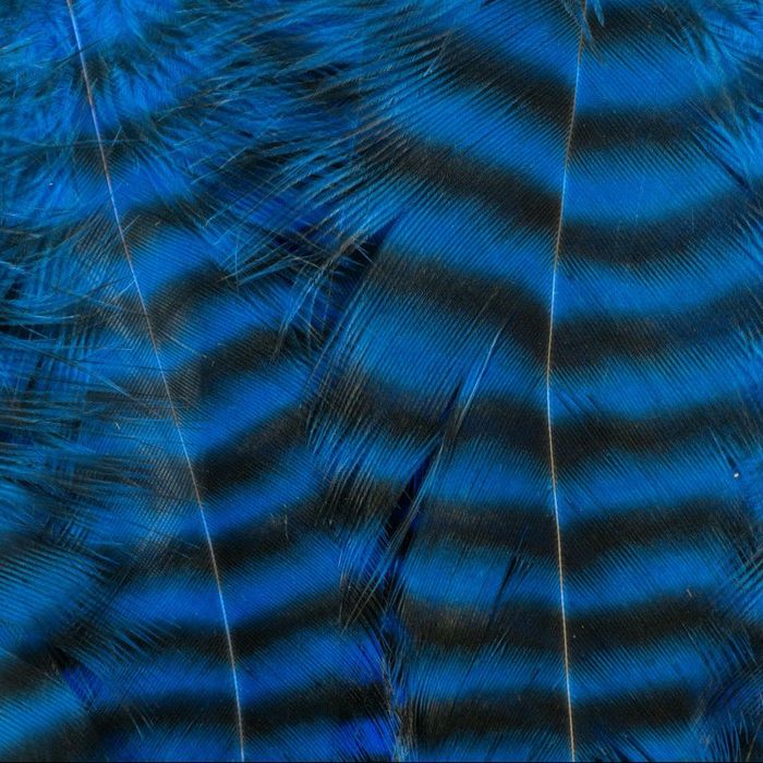 Материал для вязания мушек Umpqua Metz - Hackle Predator Pack