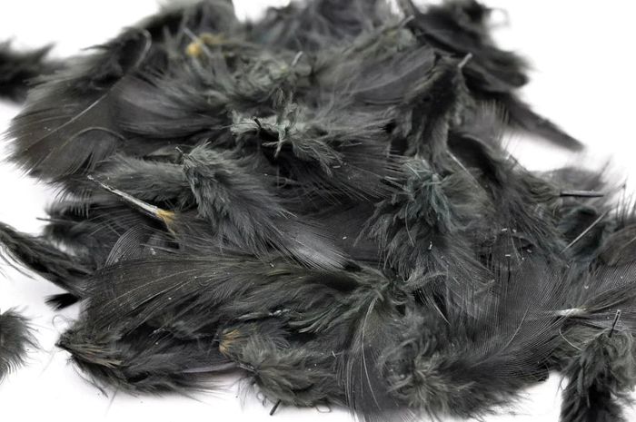Материал для вязания мушек Premium Hungarian Partridge Hackle--Hareline