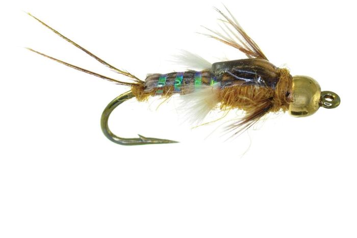 Мушка Umpqua Gold Bead Poxyback Fly