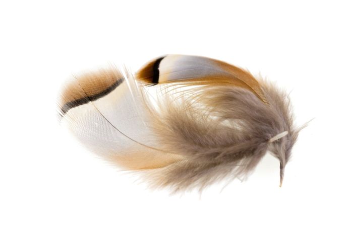 Материал для вязания мушек Wapsi Chukar Feathers