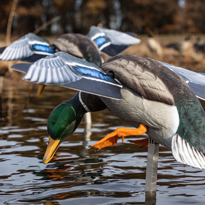 Powerflight Mallard, вращающаяся утка-приманка