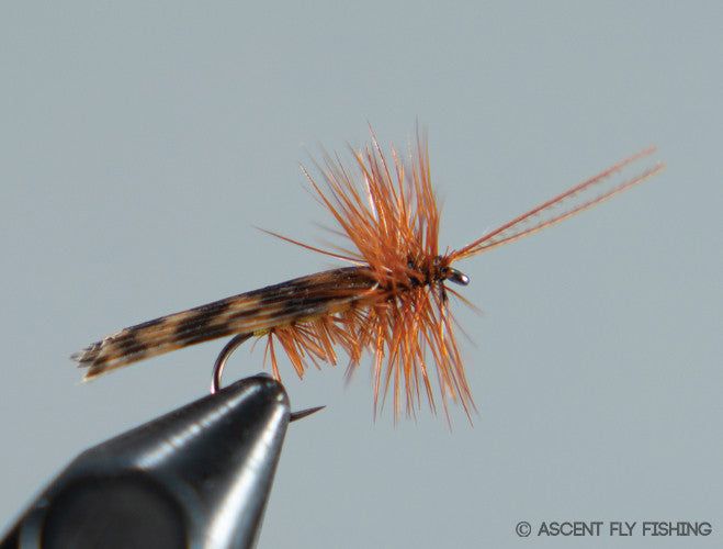 Палатка Ascent Fly Fishing Tent Wing Caddis