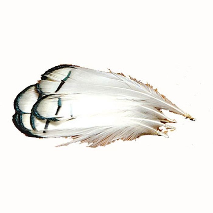 Перья для вязания мушек J. Stockard Fly Fishing Lady Amherst Tippet