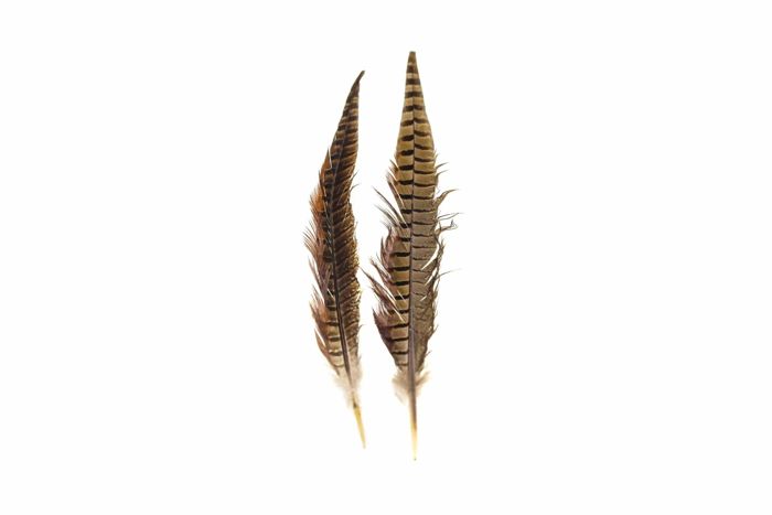 Материал для вязания мушек Hareline Ringneck Pheasant Tail Feathers