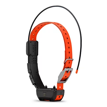 GPS-ошейник для собаки Garmin Alpha TT 25 GPS Dog Collar