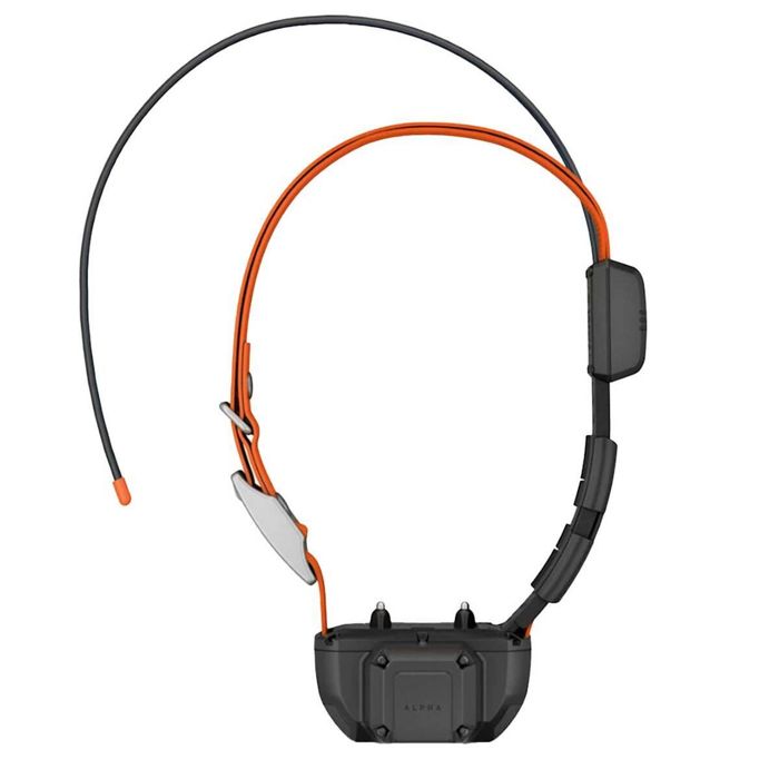 Снаряжение для собаки Garmin Alpha TT 25 Dog Collar with Tracking Beeper
