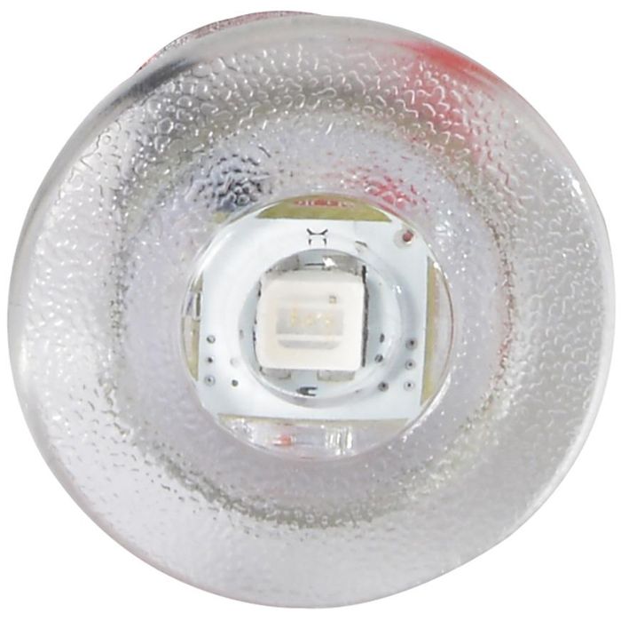 Термобокс LUMITEC Newt Livewell & Courtesy Light - Warm White Dimming