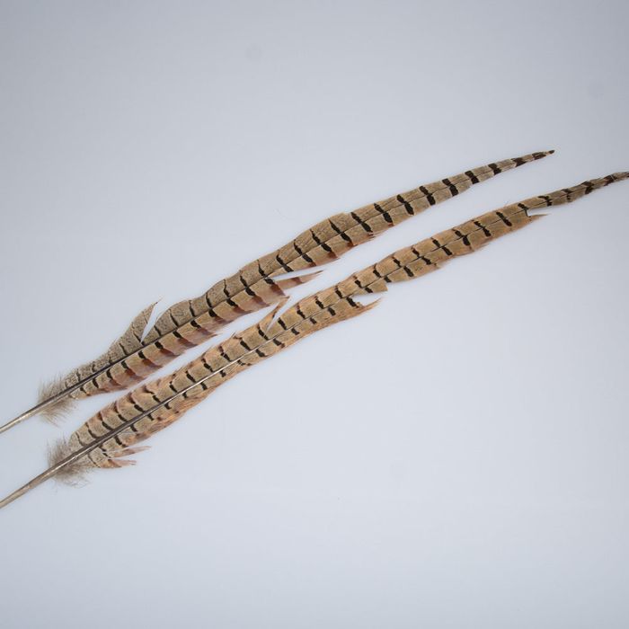 Мушки Ringneck Pheasant Tail - Tail Feathers