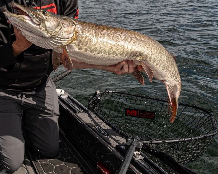 Подсачек Net Buddy Musky Buddy -Tiger Musky Buddy Net
