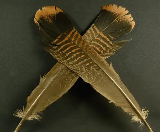 Материал для вязания мушек Hareline Dubbin Hareline Cinnamon Tip Turkey Tail Feathers