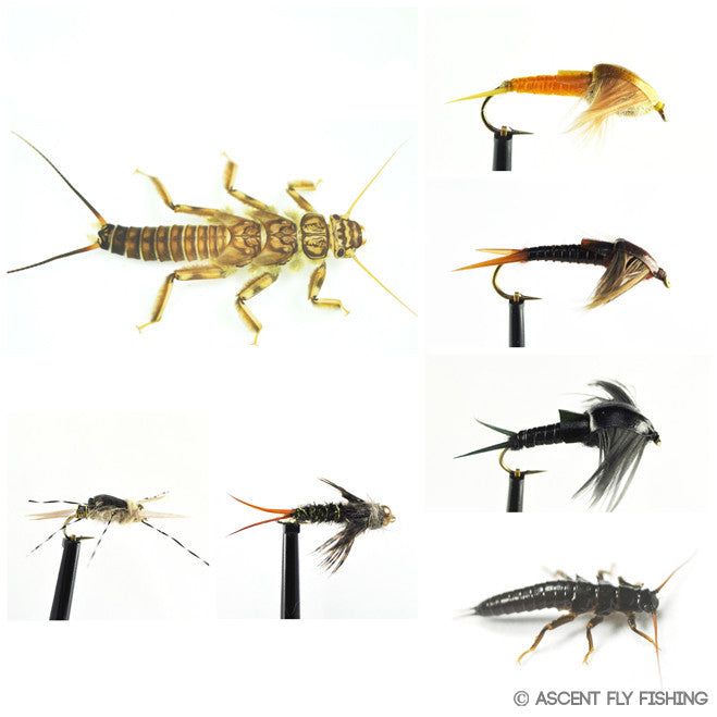 Мушки Ascent Fly Fishing Stonefly Nymph Selection
