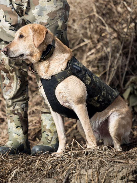 Снаряжение для собаки KUIU Neoprene Dog Vest | Valo
