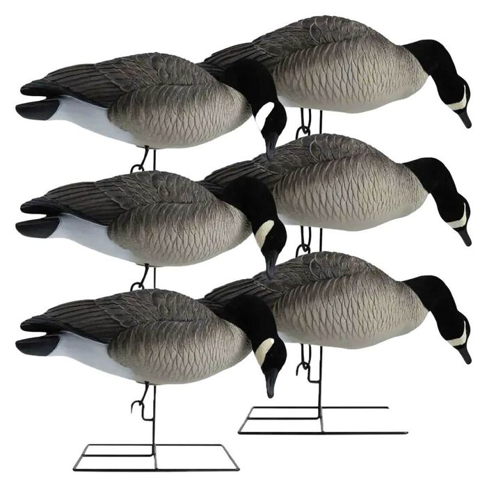 Чучело Hardcore Rugged Canada Goose Decoy - 6 Pack