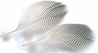 Материал для вязания мушек Hareline Teal Flank Feathers