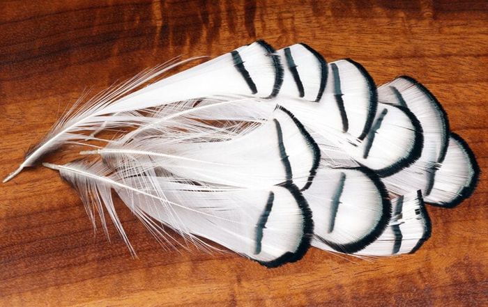 Поводковый материал Hareline Dubbin Lady Amherst Tippets