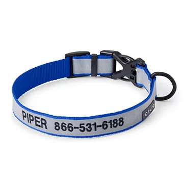 Снаряжение для собаки Orvis Reflective Collar & Leash Bundle