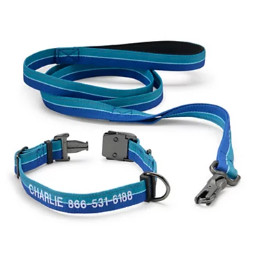Снаряжение для собаки Tough Trail Collar & Leash Bundle