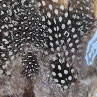 Материал для вязания мушек Guinea Feathers (UV2) Large Eye - Hareline