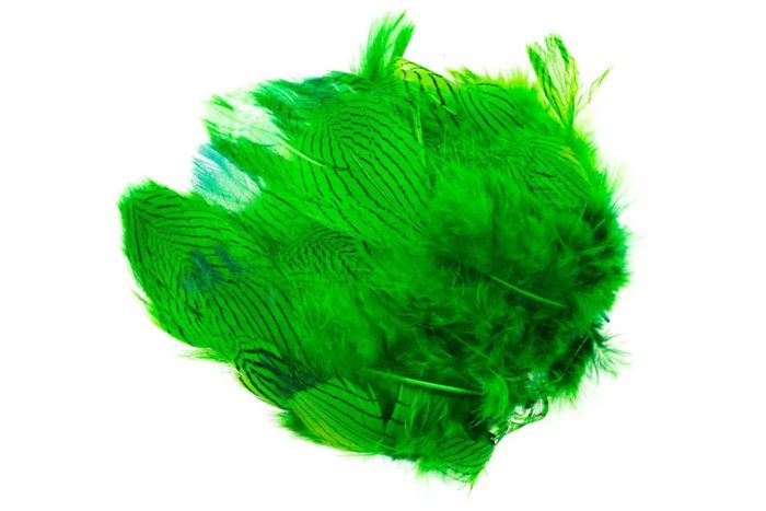 Материал для вязания мушек Hareline Silver Pheasant Body Feathers