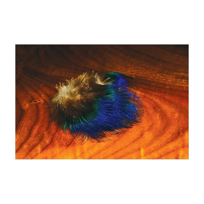Материал для вязания мушек Hareline Blue Peacock Feathers