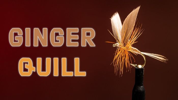 Набор для вязания мушек Trident Ginger Quill Dry Fly Tying Video Material Kit