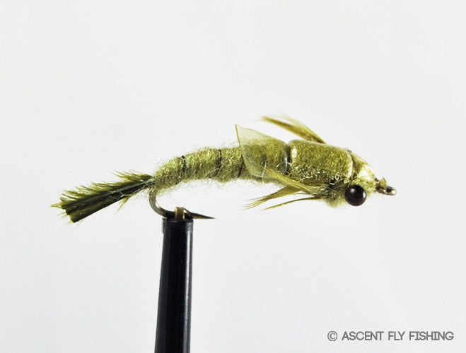 Мушки Ascent Fly Fishing Damselfly Nymph