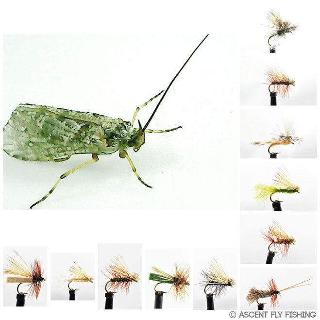 Мушки Ascent Fly Fishing Dry Caddis Fly Selection