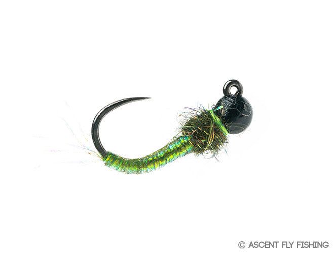 Ascent Fly Fishing Tungsten Jig Caddis Larva