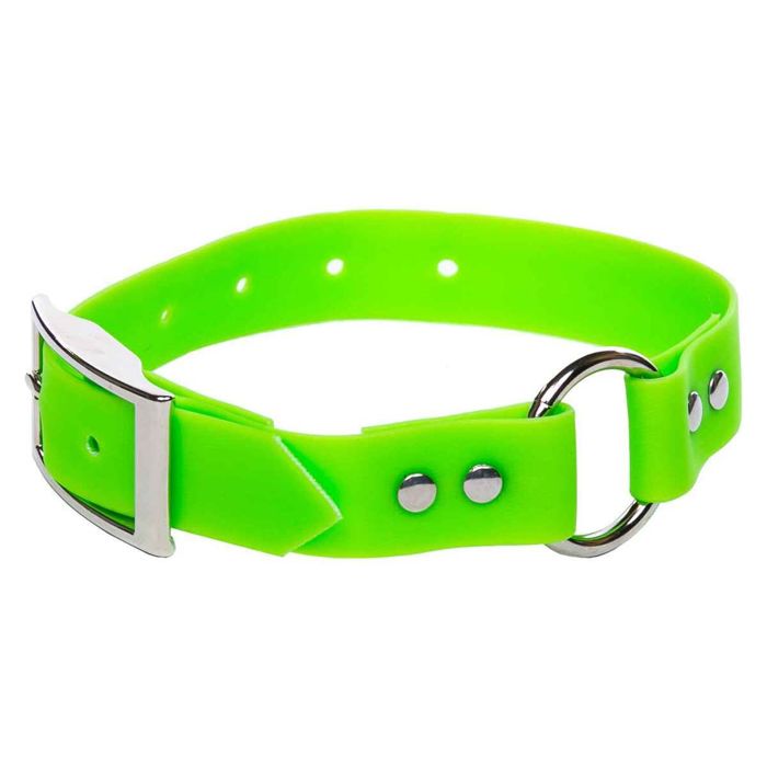 Снаряжение для собаки ROCT Outdoors Upland Field Traditional Collar