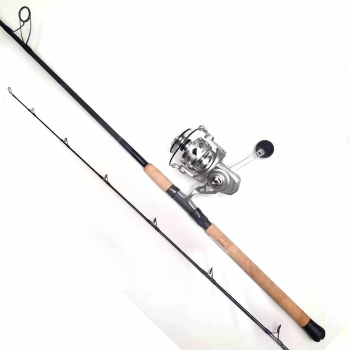 Комплект удилище + катушка Tsunami SaltX II 8000 Reel and Capt. Harry's CHSC820 Spinning C