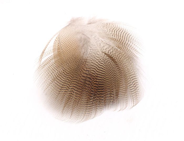 Материал для вязания мушек Wood Duck Feathers Lemon - Hareline